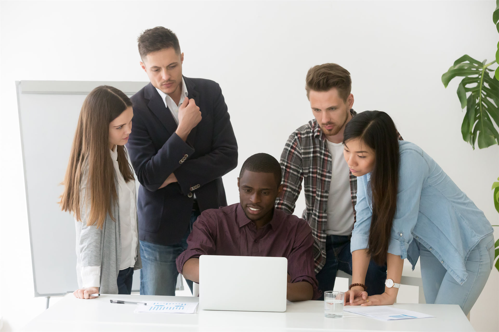 Government Training : Level C | Alliance Française De Halifax